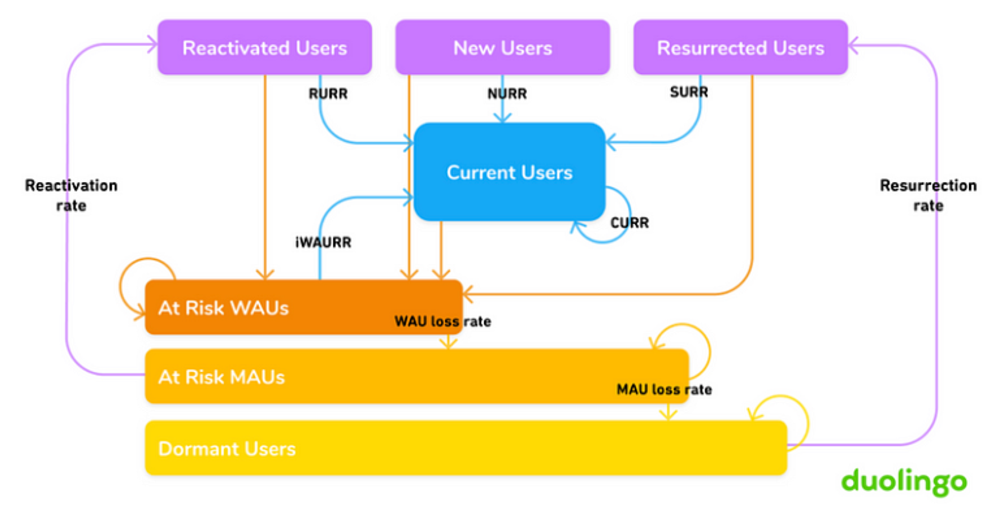 Duolingo Growth Model (출처: Duolingo)